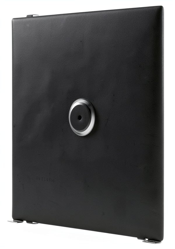 Sonance MAG SSTVAUDIO In Wall TV Audio System Sonos Powered-11